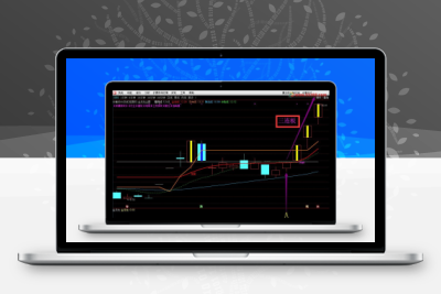实战天天抓板+每月抓连板妖股  组合强势升级版指标主图+幅图