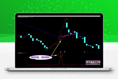 通达信【杀破狼+飞鸿】套装指标，十年磨一剑，90%高胜率选股，不加密无未来！-股票赢家公式网-提供金钻指标以及精品亲测实战指标公式，汇集各大股市名师高手教程、股市战法交流等.....股票赢家公式网