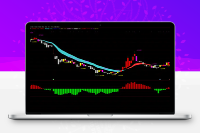 【主力监控器】通达信 主力吸筹量化指标，短线跟庄抓主升，主力量化指标 手机电脑通用！【众筹指标系列】股票赢家公式网-提供金钻指标以及精品亲测实战指标公式，汇集各大股市名师高手教程、股市战法交流等.....股票赢家公式网
